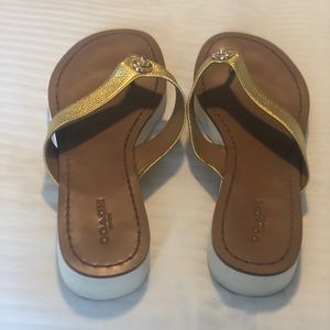 Gold Coach thong sandals